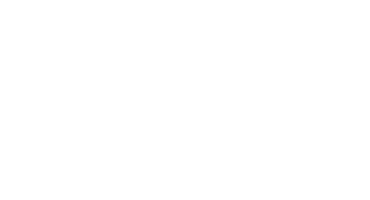 Sun City Mechanic